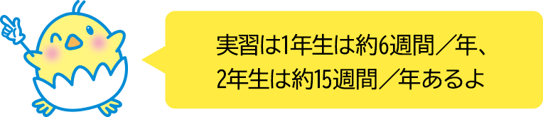 実習は1年性は約6週間/年、2年性は約15週間/年あるよ